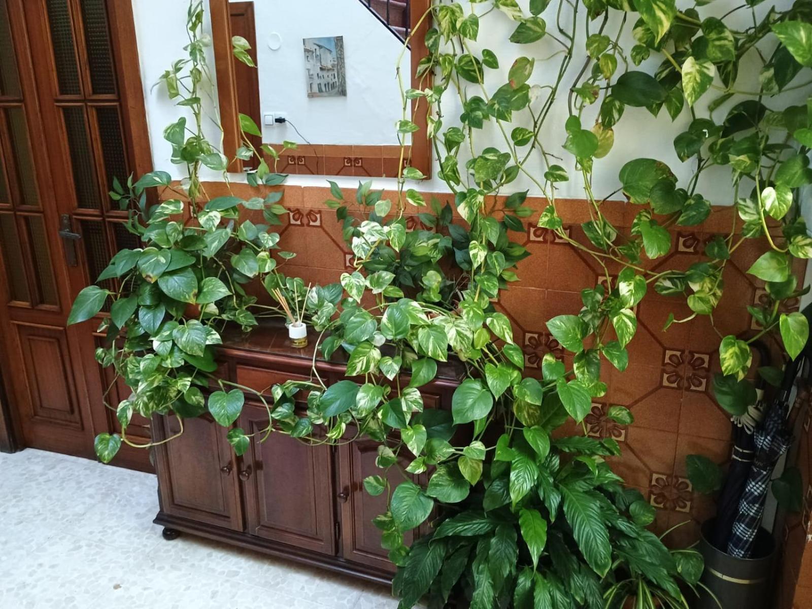 Apartmán Casa Matbel Córdoba Exteriér fotografie